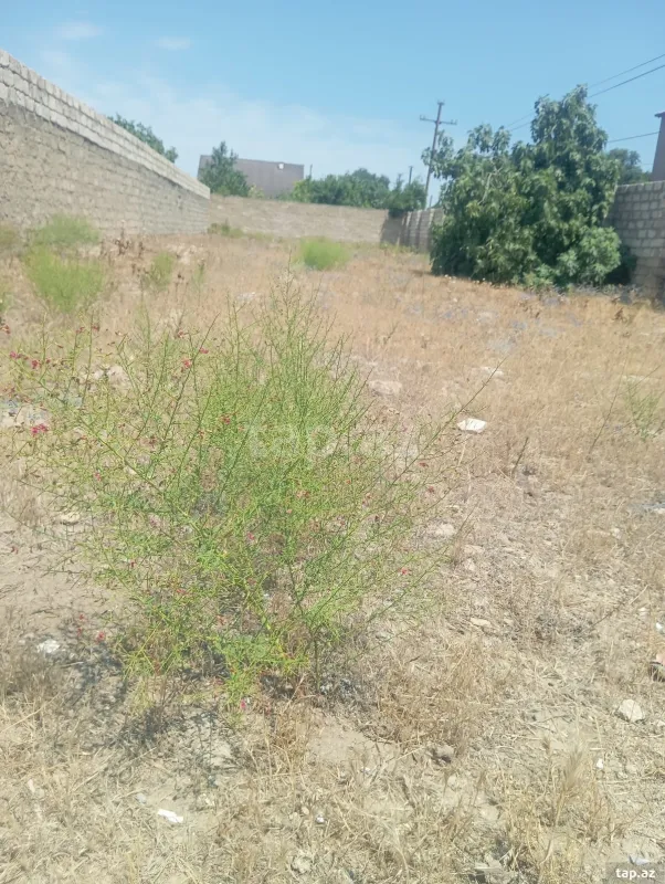 Satılır torpaq sahəsi