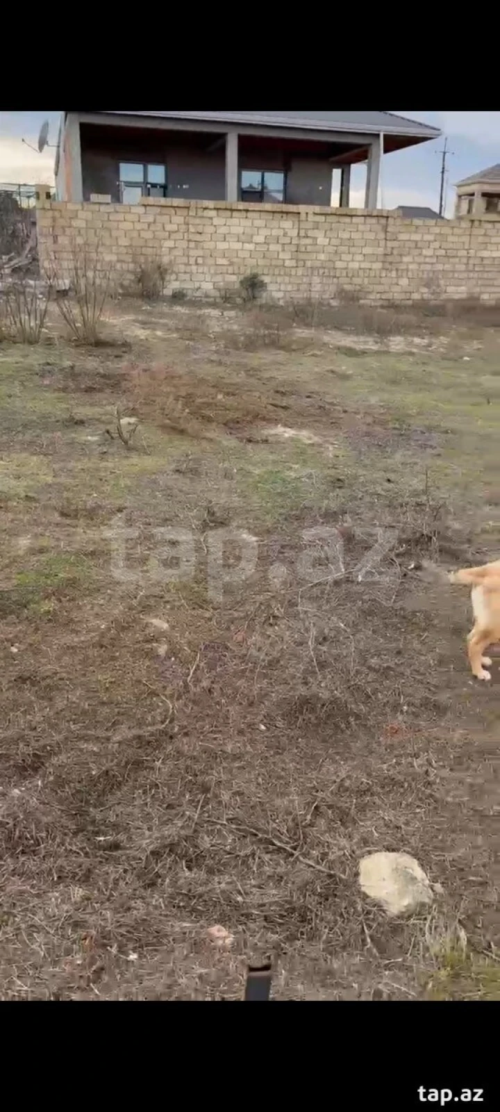 Satılır torpaq sahəsi