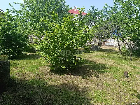 Satılır torpaq sahəsi — Şəki