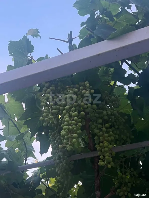 Satılır 5 otaqlı həyət evi 180 m²