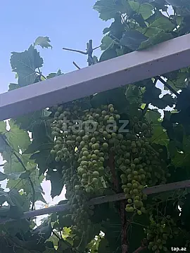 Satılır 5 otaqlı həyət evi 180 m²