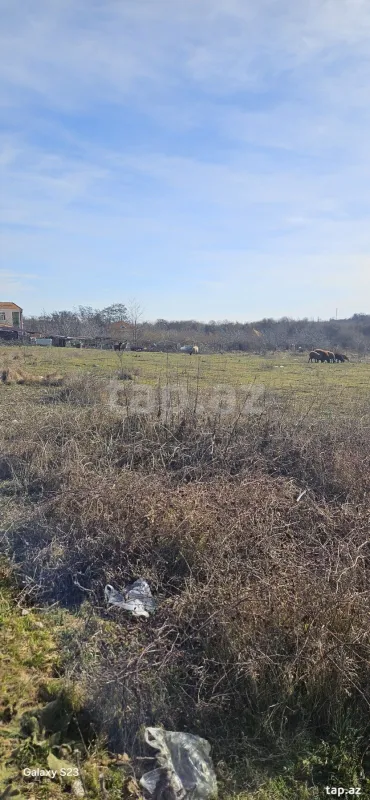 Satılır torpaq sahəsi