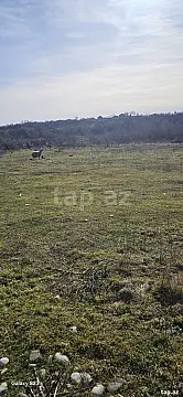 Satılır torpaq sahəsi — Qusar