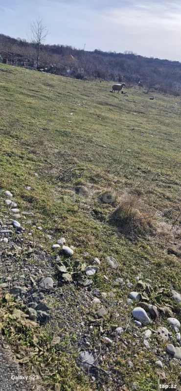 Satılır torpaq sahəsi