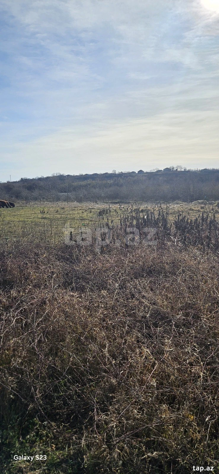 Satılır torpaq sahəsi