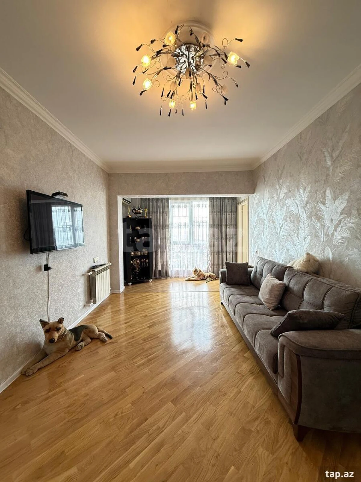 Satılır 3 otaqlı mənzil 65 m²