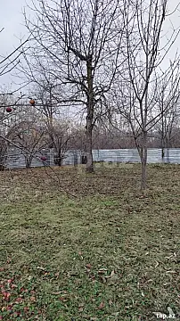 Satılır torpaq sahəsi — Qəbələ