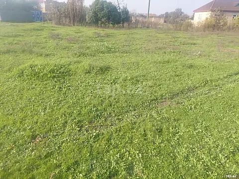 Satılır torpaq sahəsi — Masallı