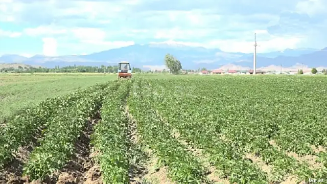 Satılır torpaq sahəsi — Yevlax