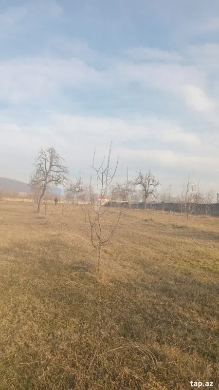 Satılır torpaq sahəsi