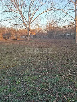 Satılır torpaq sahəsi — Qəbələ