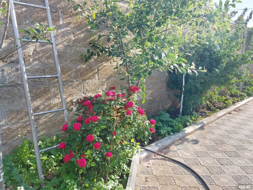 Kirayə verilir 5 otaqlı həyət evi