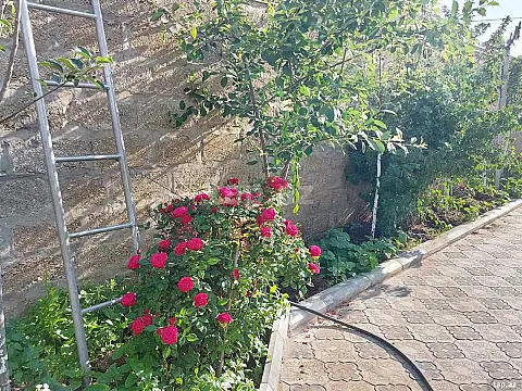 Kirayə verilir 5 otaqlı həyət evi