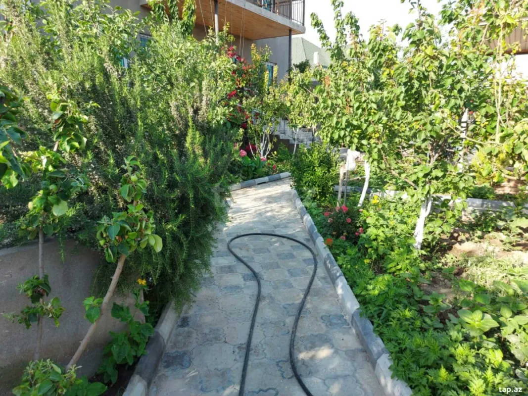 Kirayə verilir 5 otaqlı həyət evi