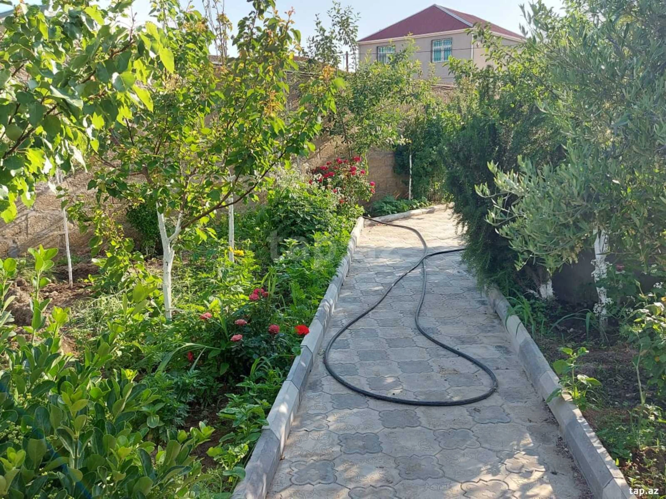 Kirayə verilir 5 otaqlı həyət evi