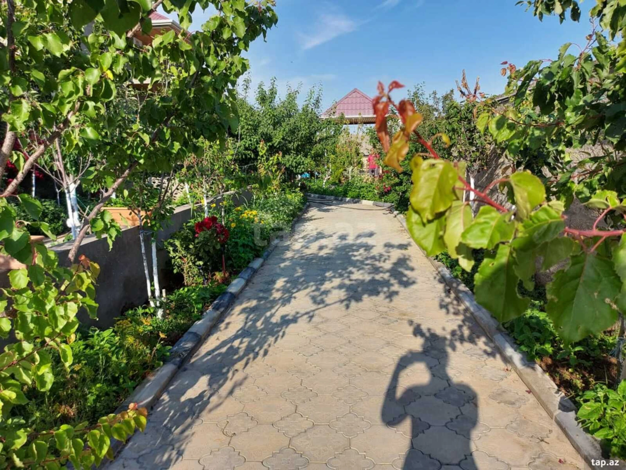 Kirayə verilir 5 otaqlı həyət evi