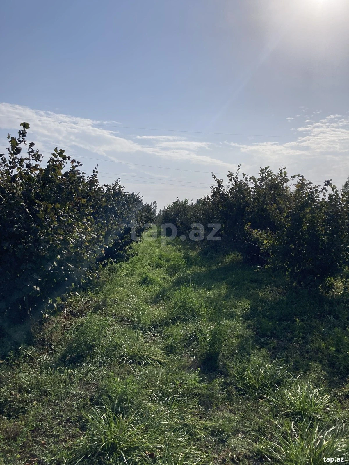 Satılır torpaq sahəsi