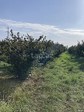 Satılır torpaq sahəsi — Bakı