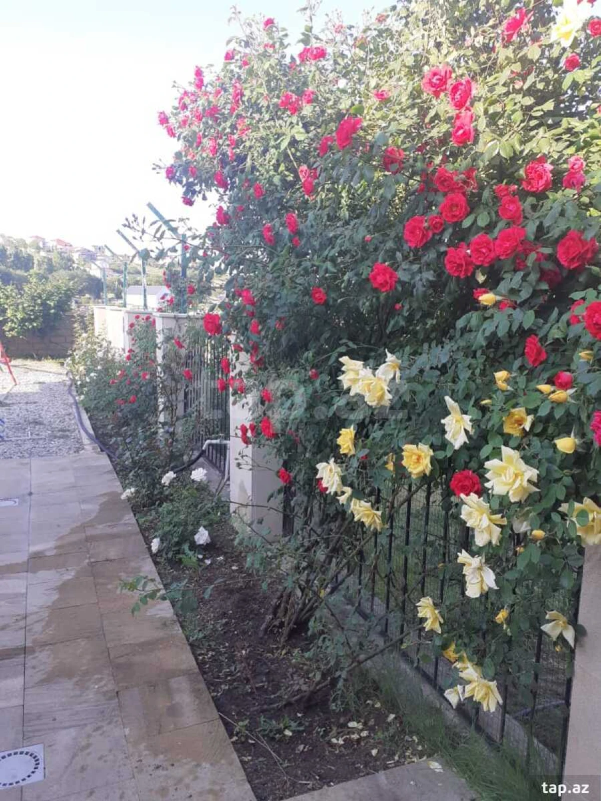 Satılır 4 otaqlı həyət evi