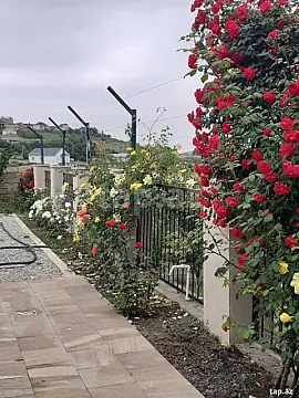 Satılır 4 otaqlı həyət evi