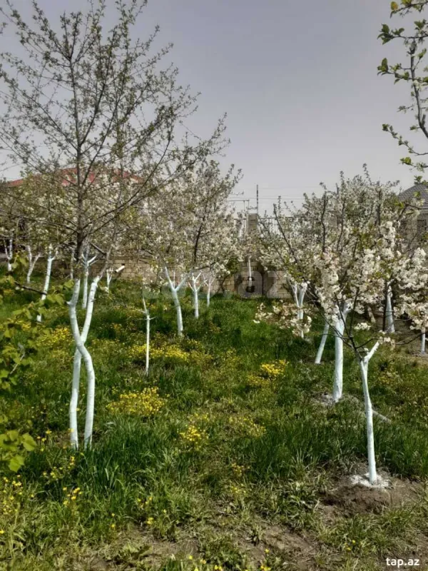 Satılır 4 otaqlı həyət evi