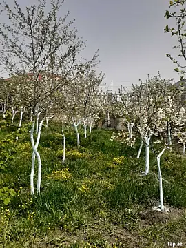 Satılır 4 otaqlı həyət evi