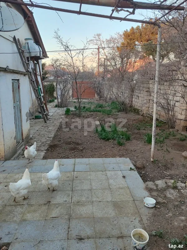 Satılır 6 otaqlı həyət evi