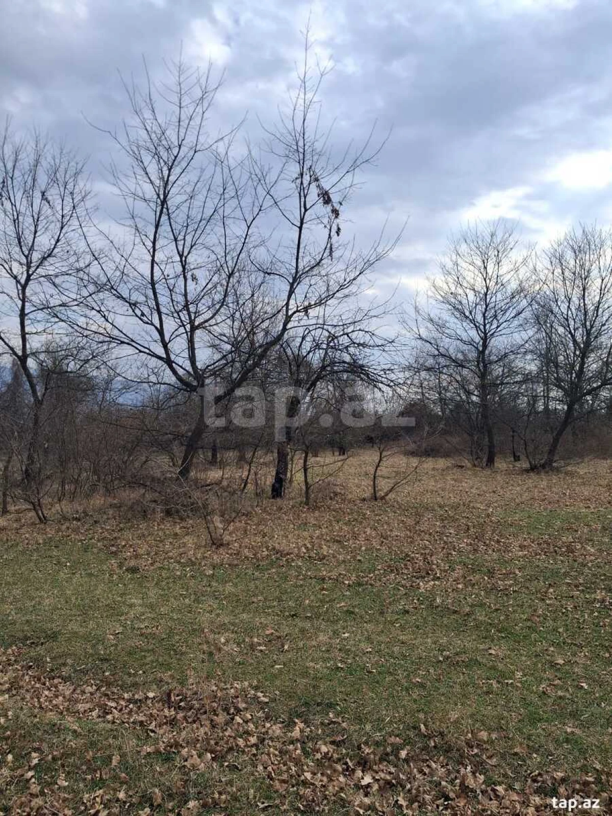 Satılır torpaq sahəsi