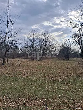 Satılır torpaq sahəsi — İsmayıllı