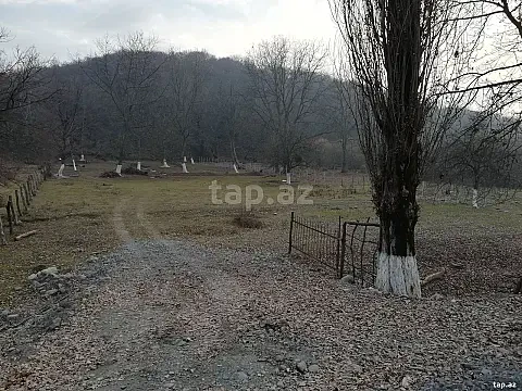 Satılır torpaq sahəsi — Zaqatala
