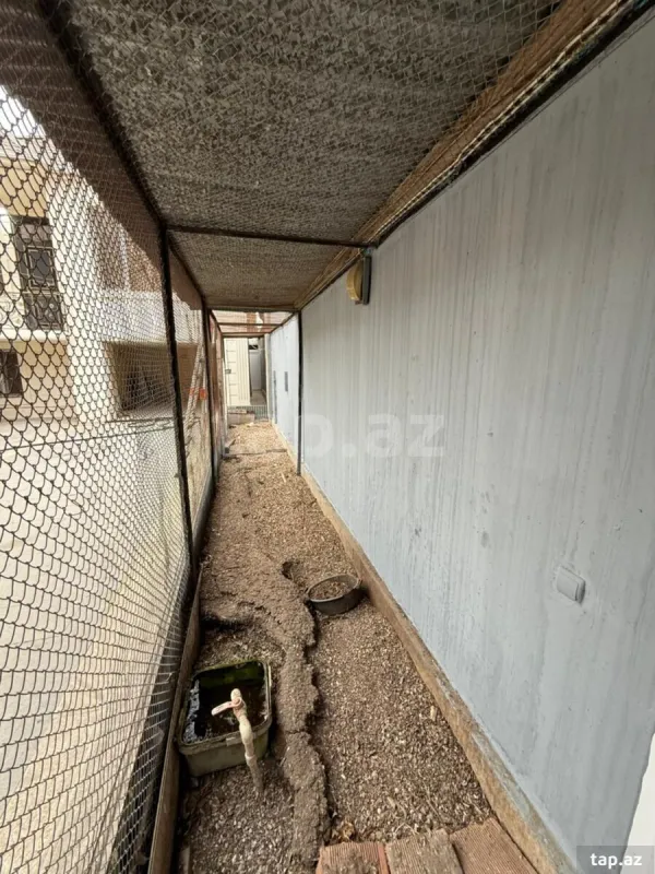 Satılır 5 otaqlı həyət evi
