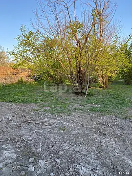 Satılır torpaq sahəsi — Qəbələ