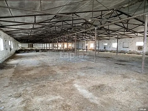 Satılır obyekt — Sabirabad