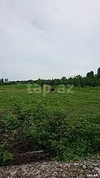 Satılır torpaq sahəsi — Xaçmaz