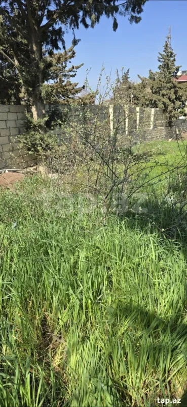 Satılır torpaq sahəsi