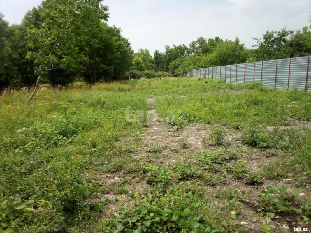 Satılır torpaq sahəsi