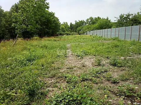 Satılır torpaq sahəsi — Qəbələ