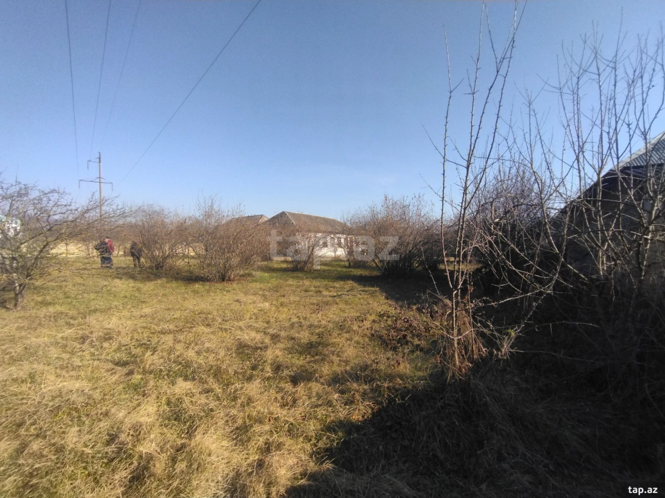 Satılır torpaq sahəsi