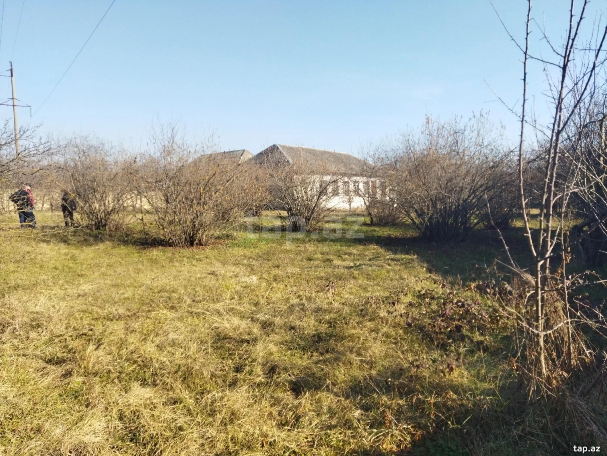 Satılır torpaq sahəsi