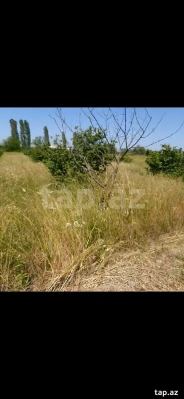 Kirayə verilir torpaq sahəsi