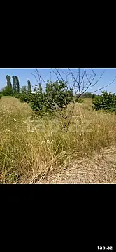 Kirayə verilir torpaq sahəsi