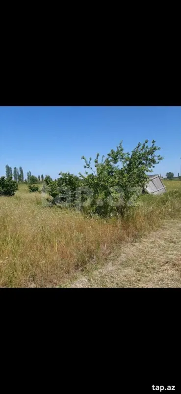 Kirayə verilir torpaq sahəsi