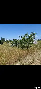 Kirayə verilir torpaq sahəsi — Xaçmaz