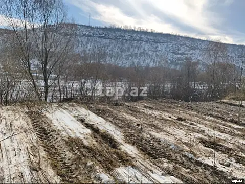 Satılır torpaq sahəsi — Qusar