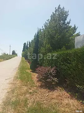 Satılır torpaq sahəsi — Quba