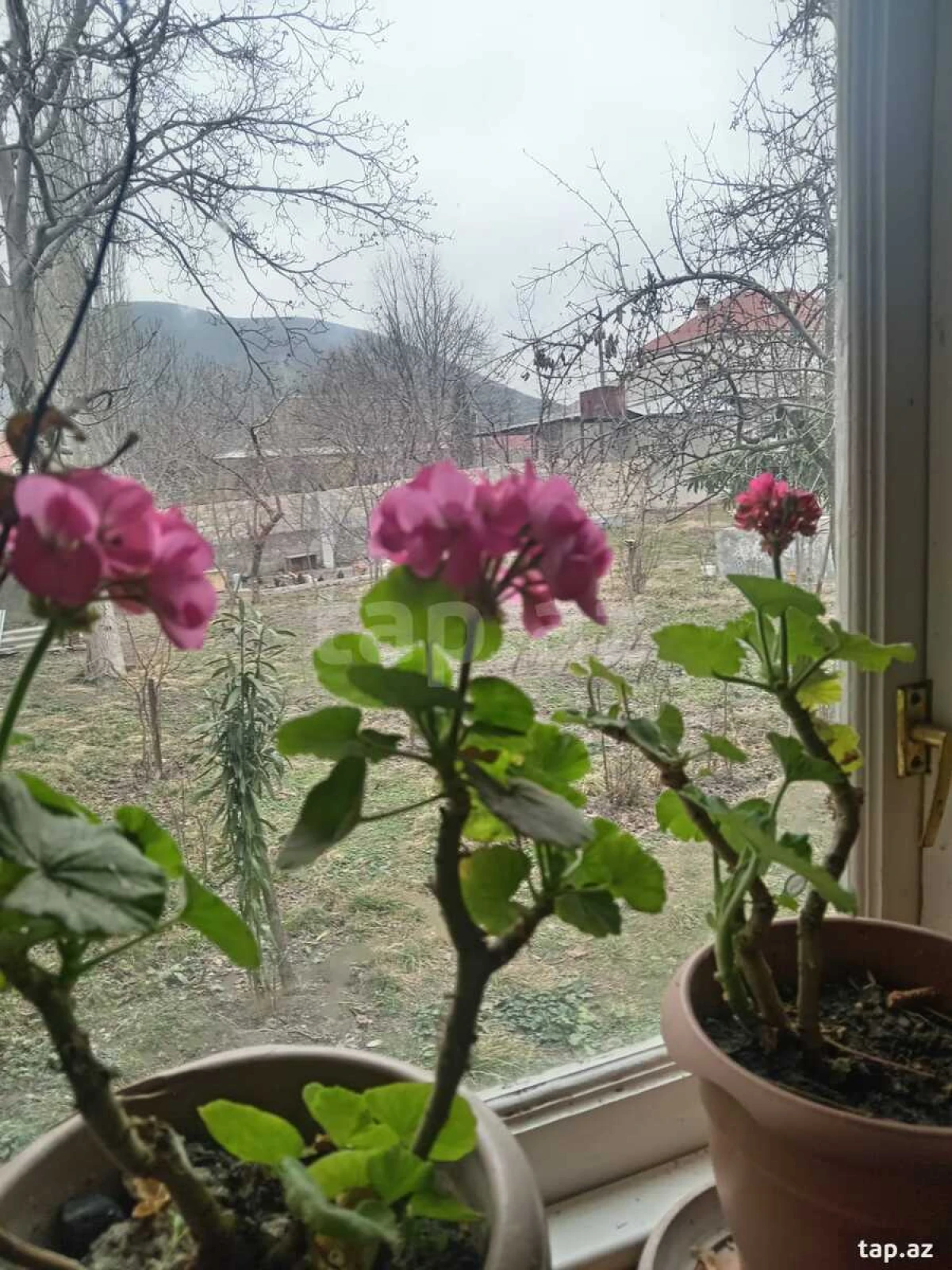 Kirayə verilir 3 otaqlı həyət evi