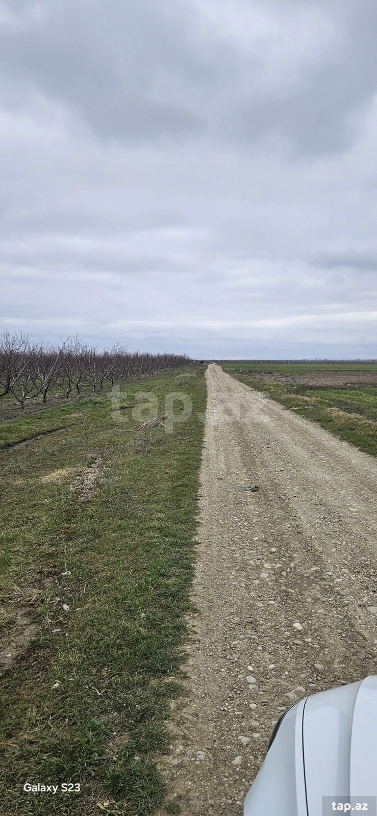 Satılır torpaq sahəsi