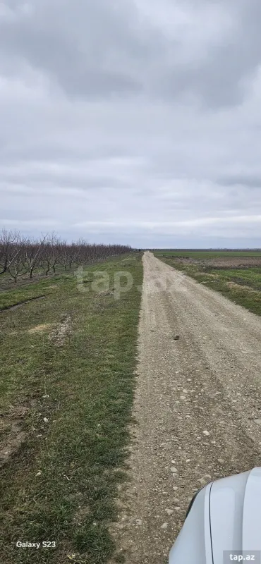 Satılır torpaq sahəsi