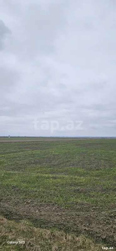 Satılır torpaq sahəsi