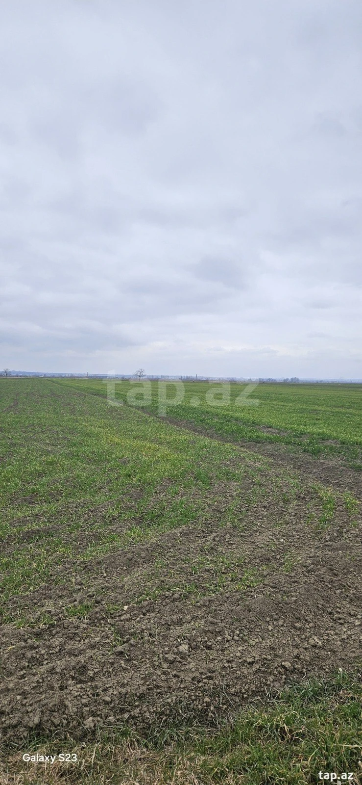 Satılır torpaq sahəsi